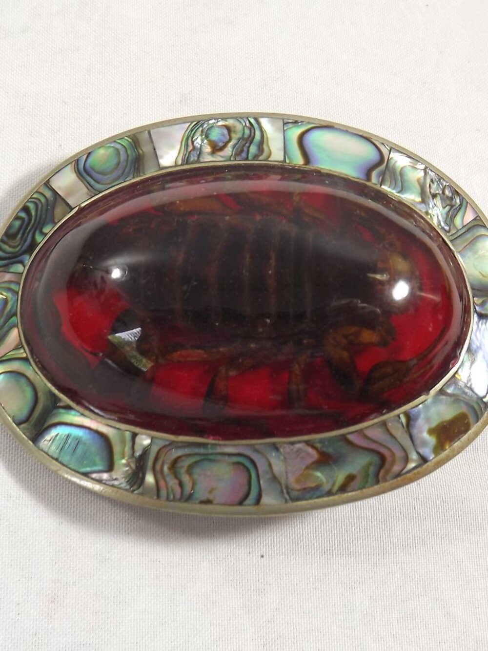 Vintage Abalone Inlay Oval Belt Buckle with Scorpion and  Resin Center
